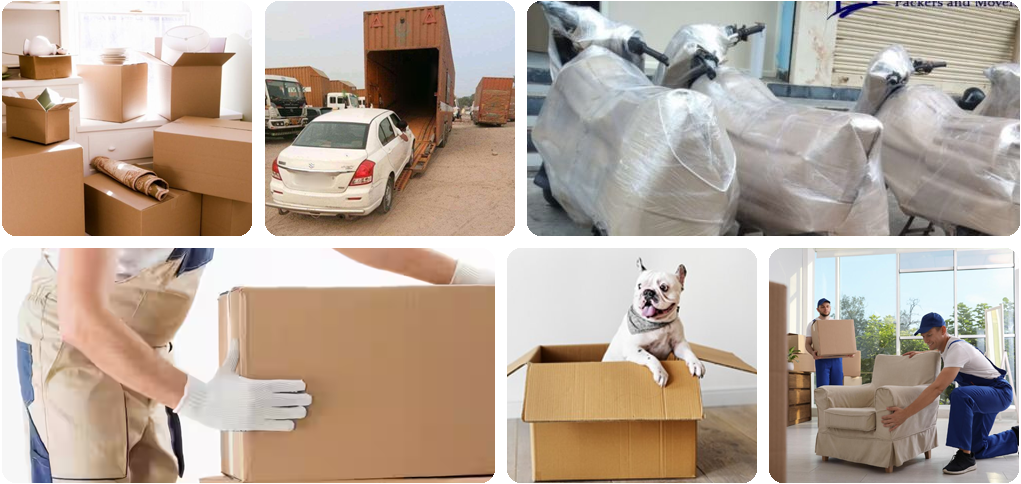 packers and movers services